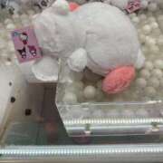 ヒメ日記 2026/03/18 16:42 投稿 みはる ZERO