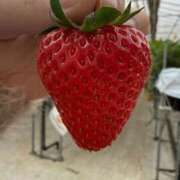 ヒメ日記 2026/03/27 14:38 投稿 みはる ZERO