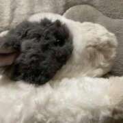 ヒメ日記 2024/12/24 00:16 投稿 ゆい One More 奥様　西船橋店