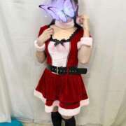 ヒメ日記 2024/12/24 08:37 投稿 うみ マーガレット