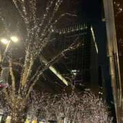 ヒメ日記 2025/01/06 15:48 投稿 うみ マーガレット