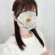 ヒメ日記 2025/04/10 11:33 投稿 うみ マーガレット