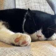 ヒメ日記 2025/01/22 12:28 投稿 ゆあ 横浜ミセスアロマ（ユメオト）