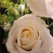 ヒメ日記 2024/12/12 23:12 投稿 横田 熟女の風俗最終章 新横浜店