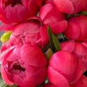 ヒメ日記 2024/12/24 02:16 投稿 横田 熟女の風俗最終章 新横浜店