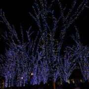 ヒメ日記 2024/12/24 02:42 投稿 横田 熟女の風俗最終章 新横浜店