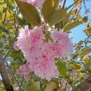 ヒメ日記 2025/04/01 23:16 投稿 横田 熟女の風俗最終章 新横浜店