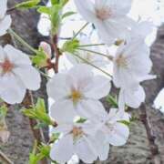 ヒメ日記 2025/04/01 23:20 投稿 横田 熟女の風俗最終章 新横浜店