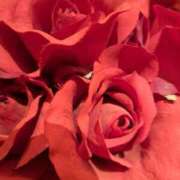 ヒメ日記 2025/07/31 14:30 投稿 横田 熟女の風俗最終章 新横浜店