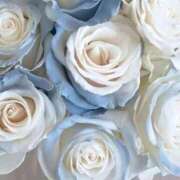 ヒメ日記 2026/01/25 15:56 投稿 横田 熟女の風俗最終章 新横浜店