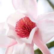 ヒメ日記 2026/03/15 16:17 投稿 横田 熟女の風俗最終章 新横浜店