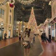 ヒメ日記 2025/11/20 10:25 投稿 りる ニュー姫