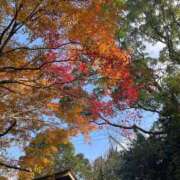 ヒメ日記 2024/12/13 10:44 投稿 寧々-NENE- luxury aroma 咲