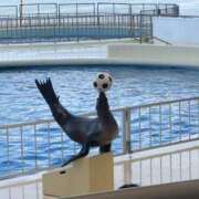 ヒメ日記 2025/05/06 01:50 投稿 寧々-NENE- luxury aroma 咲