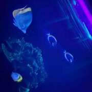 ヒメ日記 2025/05/23 10:28 投稿 寧々-NENE- luxury aroma 咲