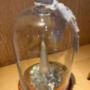 ヒメ日記 2025/11/19 01:37 投稿 寧々-NENE- luxury aroma 咲