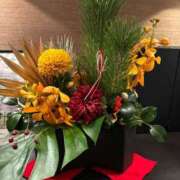 ヒメ日記 2025/12/31 01:44 投稿 寧々-NENE- luxury aroma 咲