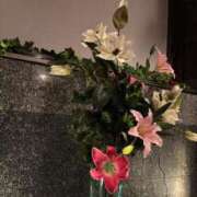 ヒメ日記 2026/01/20 14:13 投稿 寧々-NENE- luxury aroma 咲