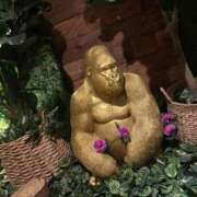 ヒメ日記 2026/03/01 11:19 投稿 寧々-NENE- luxury aroma 咲