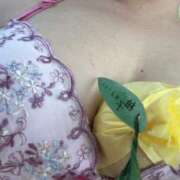 ヒメ日記 2025/09/03 15:01 投稿 神山　ちよ 三丁目の奥様（東京ハレ系）