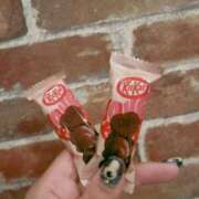 ヒメ日記 2026/02/12 15:30 投稿 神山　ちよ 三丁目の奥様（東京ハレ系）