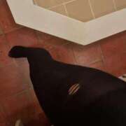 ヒメ日記 2026/03/01 08:01 投稿 神山　ちよ 三丁目の奥様（東京ハレ系）