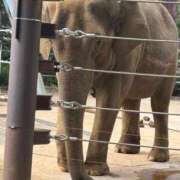 ヒメ日記 2025/05/07 17:54 投稿 なつき モアグループ神栖人妻花壇