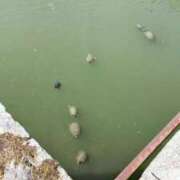 ヒメ日記 2025/08/12 07:22 投稿 ゆう タレント倶楽部Around40