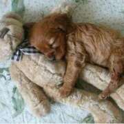 ヒメ日記 2025/09/06 13:16 投稿 ゆう タレント倶楽部Around40