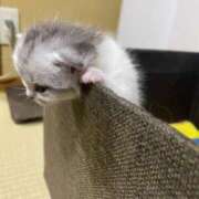 ヒメ日記 2025/09/07 09:00 投稿 ゆう タレント倶楽部Around40