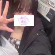 ヒメ日記 2024/12/15 16:28 投稿 ひな それいけ！ヤリスギ学園～舐めたくてグループ横浜校～