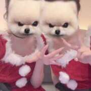 ヒメ日記 2024/12/26 03:28 投稿 ひな それいけ！ヤリスギ学園～舐めたくてグループ横浜校～