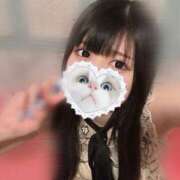 ヒメ日記 2024/12/13 12:35 投稿 みしろ 若葉