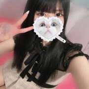 ヒメ日記 2024/12/14 07:25 投稿 みしろ 若葉