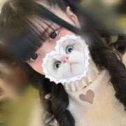 ヒメ日記 2024/12/16 07:25 投稿 みしろ 若葉