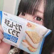 ヒメ日記 2024/12/18 17:15 投稿 みしろ 若葉