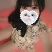 ヒメ日記 2024/12/20 12:28 投稿 みしろ 若葉