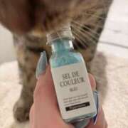 ヒメ日記 2024/12/21 00:23 投稿 みしろ 若葉