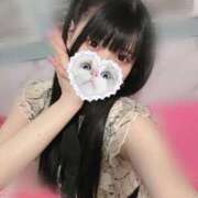 ヒメ日記 2024/12/23 06:38 投稿 みしろ 若葉