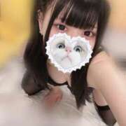 ヒメ日記 2024/12/27 07:22 投稿 みしろ 若葉