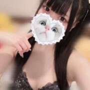 ヒメ日記 2024/12/29 07:17 投稿 みしろ 若葉