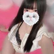 ヒメ日記 2024/12/29 22:15 投稿 みしろ 若葉