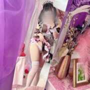 ヒメ日記 2025/01/11 10:45 投稿 みしろ 若葉