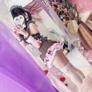 ヒメ日記 2025/01/15 18:25 投稿 みしろ 若葉