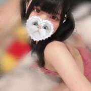 ヒメ日記 2025/01/23 06:35 投稿 みしろ 若葉