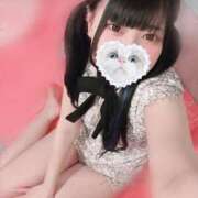 ヒメ日記 2025/02/05 07:15 投稿 みしろ 若葉