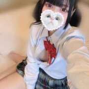 ヒメ日記 2025/02/05 11:15 投稿 みしろ 若葉