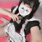 ヒメ日記 2025/02/14 08:25 投稿 みしろ 若葉