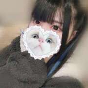 ヒメ日記 2025/02/15 10:25 投稿 みしろ 若葉