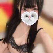 ヒメ日記 2025/02/16 06:35 投稿 みしろ 若葉